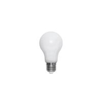 Globen Lighting Ampoule E27 LED Normal Opal 7.5W