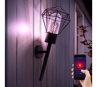 Globo Außenleuchte Murale Wandleuchte Fackel Gitter Noir Smart LED Alexa CCT RGB