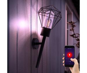 Globo Außenleuchte Murale Wandleuchte Fackel Gitter Noir Smart LED Alexa CCT RGB
