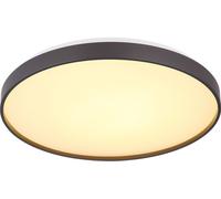 Lampe de Salon Couloir Plafonnier Cuisine LED Anthracite Opale Rond D 48 CM