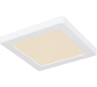 Globo Lighting Lasse plafonnier 1x12 W blanc 12380-12W