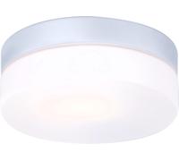 Globo Lighting Vranos plafonnier extérieur 1x60 W argenté-verre opalisé 32111