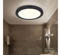 Globo Plafonnier LED Rond Salon Chambre CCT 3000-4000-6500K Noir Blanc 24W [EEK: F]