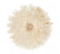 Goa Clem - Fleur de Goatier Christen GM - Taille : diamètre : 11 cm