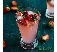 La Rochère Verre à long drink Abeille 31 cl lot de 6 Transparent – Résistant au lave-vaisselle