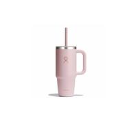 Gobelet Hydro Flask All Around Tonal Trillium, 700 ml