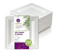 GoBeTree 100 Assiette Jetable Carrée 20 cm Canne à Sucre, Plate | Assiettes carrées blanches et élégantes en bagasse, l'assiette plate du quotidien pour entrées, salades et pâtes, rigides