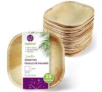 GoBeTree 25 Assiettes Feuille de Palmier Jetables Carrées 10x10 cm Cocktail. Vaisselle Jetable Élégante pour Cocktail et Apéritif, Set Catering Carré Similaire au Bambou avec Haute Rigidité
