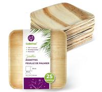 GoBeTree 25 Assiettes Feuille de Palmier Jetables Carrées 18x18 cm Apéritif. Vaisselle Jetable Élégante pour Apéritif, Tapas et Catering Carré Similaire au Bambou avec Haute Rigidité