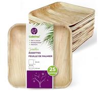 GoBeTree 25 Assiettes Feuille de Palmier Jetables Carrées 24x24 cm Plat. Vaisselle Jetable Élégante pour Plat Principal et Buffet Carré Plate Similaire au Bambou avec Haute Rigidité