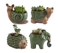 godealio Lot de 4 Petits Pots de Fleurs en céramique avec Drainage, Pots de Fleurs d'intérieur pour Cactus/bonsaï Mignons pour décoration d'intérieur et de Bureau