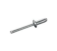 GOEBEL® - 250 x Rivets aveugles (Ø x L) 6,4 x 20 mm - Acier zingué/Acier zingué - Tête plate - STANDARD - 7080164200 - ISO15979