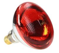 Lampe à économie d'énergie Philips 175 W Rouge
