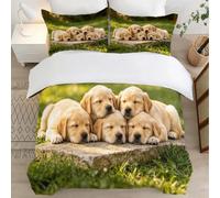 Golden Retriever Housse de Couette 150x200 Parures de Lit 1 Personne Imprimé 3D Microfibre Douce Animaux Mignons et Animaux de Compagnie Housses Couette avec 2 Taies d'oreiller et Fermeture l.741