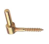 Gond à vis bois en acier zingué bichromaté - L 60 mm - Axe 12mm TORBEL