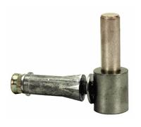 Gond à vis en inox 316 et cheville - Pivot 14mm TORBEL