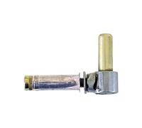 Gond à vis en inox 316 et cheville - Pivot 14mm TORBEL