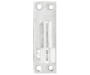 Gond sur platine bout droit - D16 - H 120 mm - 40 x 3 mm - zingué blanc