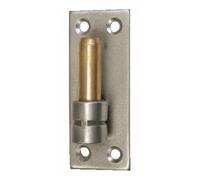 Gond sur platine droite en acier inox 316 - Hauteur 100mm TORBEL