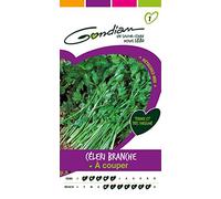 Gondian 151375 CP 1 Semences Cèleri Branche à Couper Vert 1 x 8,1 x 16 cm