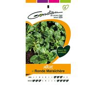 Gondian 153175 CP 1 Semences Mâche Ronde Maraichère Vert 1 x 8,1 x 16 cm