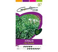 Gondian 511984 CP 2 Semences Estragon de Russie Vert 1 x 8,1 x 16 cm