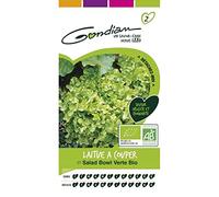 Gondian - Laitue à couper Salad Bowl verte bio
