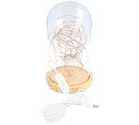 Goobay Lampe décorative Cloche en verre 60340, micro‑chaîne 50 ampoules LED, lumière chaude, beige