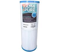 Gota Pure Filtre Spa RD50 PRB50-IN/C-4950/40506 / SC706