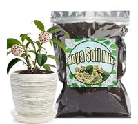 GOTVUGE Mélange de terreau pour Hoya, mélange personnalisé mélangé à la main pour plante de fougère en pot intérieur/extérieur (2 L)