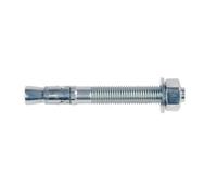 Fischer Goujon d'ancrage FBN II 10/30 en acier électrozingué Boîte de 50