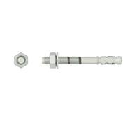 Goujons d'ancrage pour béton non fissuré 10X80 boîte de 50 - RAWL - R-XPT-10080/10