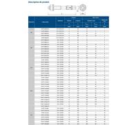 Goujons d'ancrage pour béton non fissuré 20X200 boîte de 10 - RAWL - R-XPT-20200/60