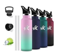 Gourde- 750 ml- Gourde Isotherme, Gourdes Paille Anti Fuite, Gourde Inox, sans Bpa, Double Isolation, Gourde Sport, Avec Poignée, Bouteille d'eau pour Randonnée, Voyage, Yoga, Camping
