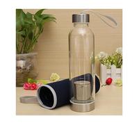 Gourde en verre avec filtre à thé - 550ml - Infuseur de thé amovible - Sac de protection - Antidérapant - Incassable