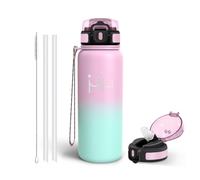 Gourde Isotherme avec Paille, 750ml en Inox 18/8 Portable Bouteille d’Eau | Gourde 6 Pailles et 1 Brosse à Paille, Restent une Température Jusqu'à 12 Heures, Bouteille pour École le bureau ou le sport