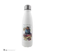 Gourde Isotherme Voyage Vers Poudlard - Harry Potter Beige TU