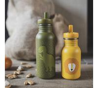 Trixie - Gourde pour Enfants en Acier Inoxydable 500ml - Mr. Dino (Dinosaure)