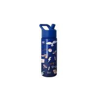 Gourde pour Enfants Simple Modern Summit avec Couvercle à Paille | Tasse Isotherme Harry Potter en Acier Inoxydable pour Filles, Garçons, École | 530 ml | Magical Mashup