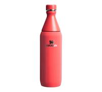 Gourde Stanley The All Day Rouge 0,6 L