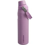 STANLEY Aerolight IceFlow Fast Flow Gourde Sport Isotherme 0.6L - Froid Pendant 10 Heures - Couvercle Étanche et à Écoulement Rapide - Lavable au Lave-Vaisselle - Sans BPA - Fog Metallic