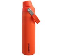 Stanley The Aerolight IceFlow Fast Flow Plum tigrée, 600 ml