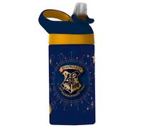 Gourde Warner Bros. Discovery Harry Potter Hogwarts DorÃ© 430 ml