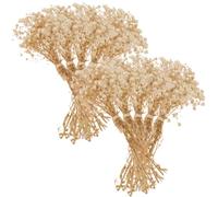 GRADENEVE Bouquet de 10 de Gypsophile Décor Réaliste Bouquets de Fleurs Séchées Naturelles Beige sans Entretien pour Décoration Maison ou Café