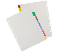 GRADENEVE Intercalaires Épais A4 pour Classeur 12 Feuilles Colorées avec Onglets Mois en Anglais Séparateurs de Page Plastifiés pour Cahier à Feuilles Mobiles, Fournitures de Classement