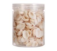 GRADENEVE Ornements en Coquillage Naturel Blanc, 1 Pack de Petites Coquilles de Mer avec Bouteille de Rangement, Décoration Délicate pour Pendentifs ou Micro-paysages