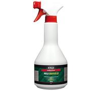 Graffiti Ex Spray 500 ml Décapant pour graffiti, dissolvant de peinture, sans CKW, aérosol pratique