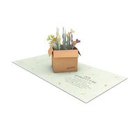 Grafik-Werkstatt | Pretty Pop Up Carte | en trois dimensions | Pour anniversaire