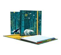 Grafoplás 88102650 Carpesano à anneaux A4 recharge feuilles quadrillées 5 x 5 séparateurs, enveloppe transparente, dos courbe, carpebook, collection diverse, nord polaire