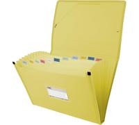 Grafoplas - Classeur trieur à soufflet, format folio, couleur jaune, 13 positions, poly semi-rigide opaque, avec étiquette pour visières, parfait classeur documents scolaires et bureau